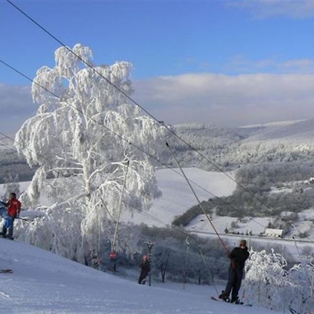 Penzion Malovany Osvetimany Bagian luar foto